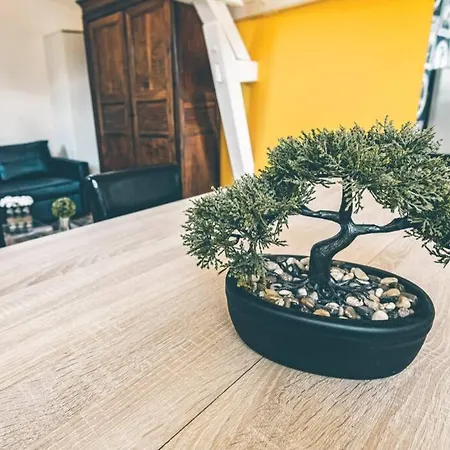 Daire Premium Le Figaro 2 *