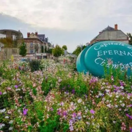 Le Figaro 2 Premium Appartement *