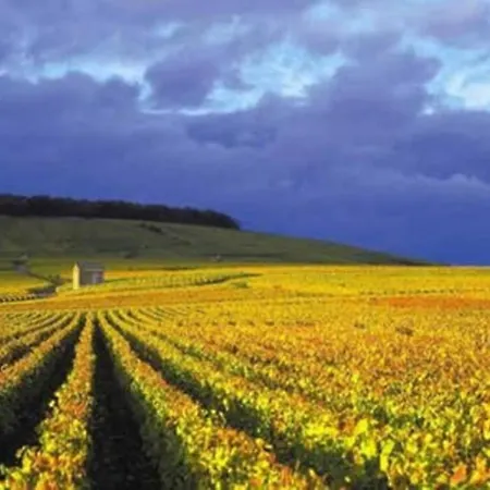 Premium Le Figaro 2 * Épernay