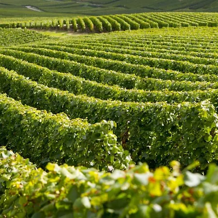 Daire Premium Le Figaro 2 Épernay